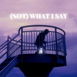 (Not) What I Say
