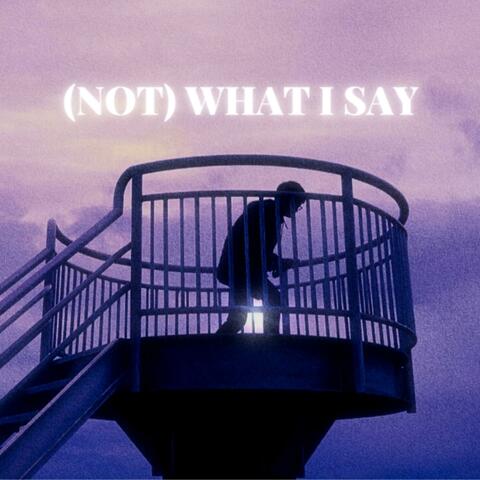 (Not) What I Say