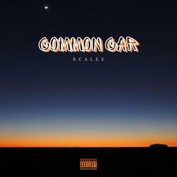 Common Car