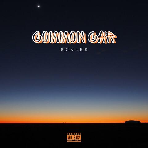 Common Car