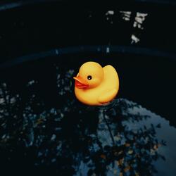 Happy Duck