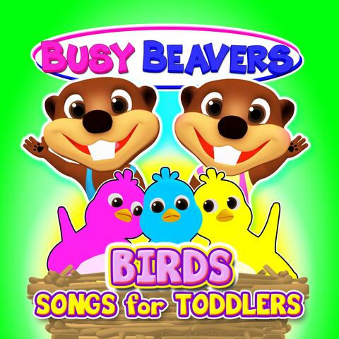Birds Songs for Toddlers