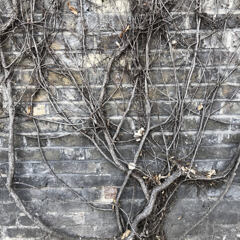 I Just Exist Not Live