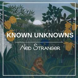 Known Unknowns