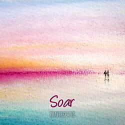Soar