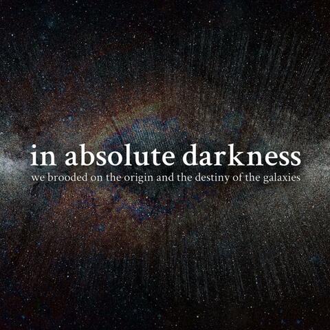 In Absolute Darkness We Brooded on the Origin and the Destiny of the Galaxies