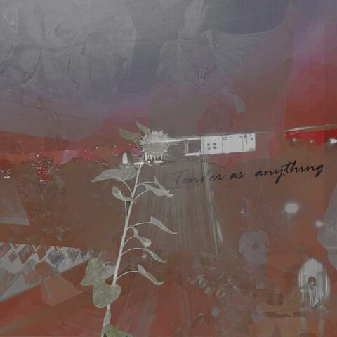 Tender as Anything