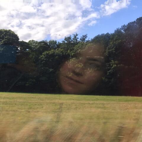 Coming Home