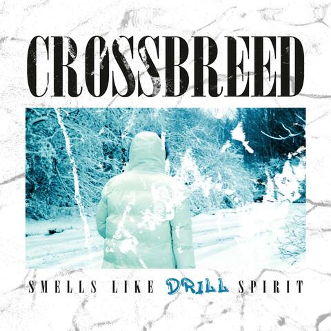 Smells Like Drill Spirit