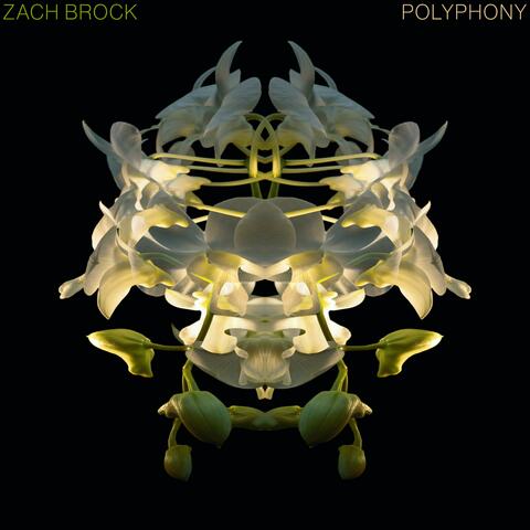 Polyphony