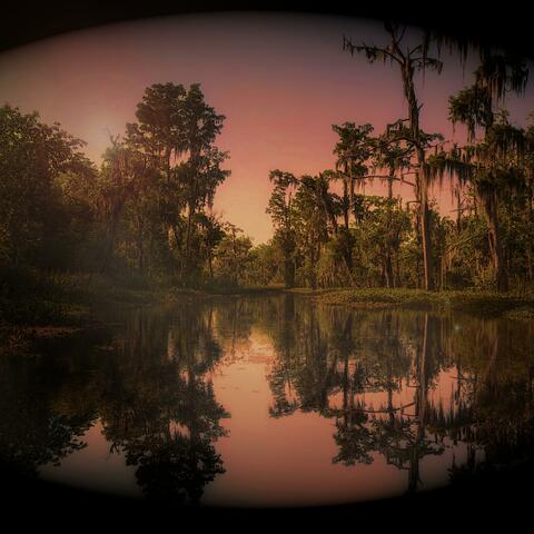The Black Mire