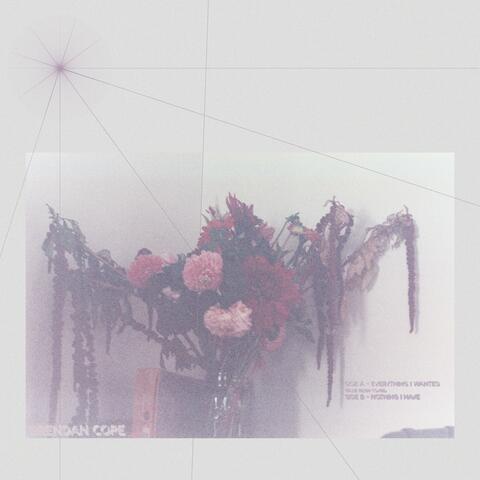 Everything I Wanted/Nothing I Have