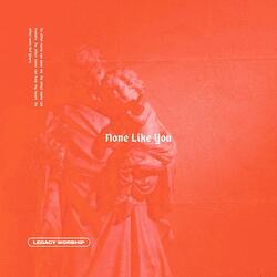 None Like You (feat. Todd Mendez)