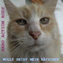 Wolly heißt mein Kätzchen