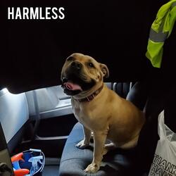 Harmless