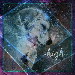 High