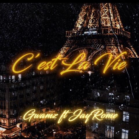C'est La Vie (feat. FromJerome)