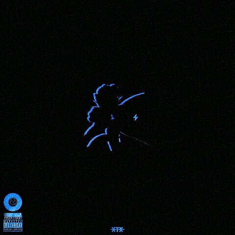 don't be afraid to bloom in the dark.