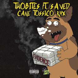 Cane Tossico (feat. SaV3D)