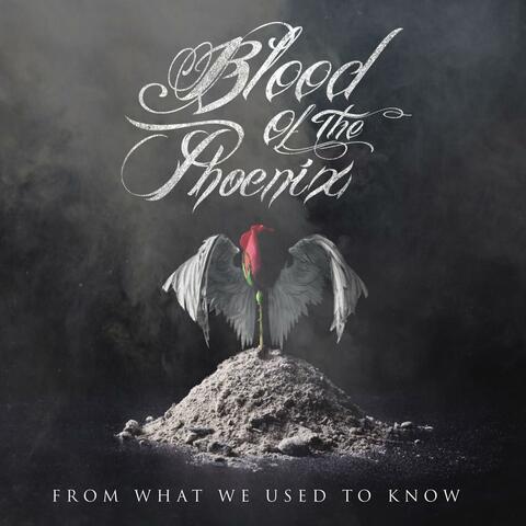 From What We Used To Know