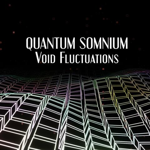 Void Fluctuations