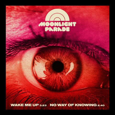 Wake Me Up