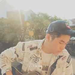 Say You Won't Let Go