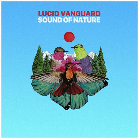 Sound of Nature