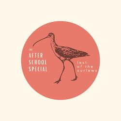 Beautiful Confession