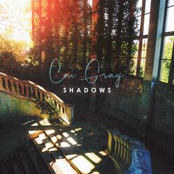 Shadows