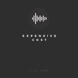 Expensive Cost (Acoustic )