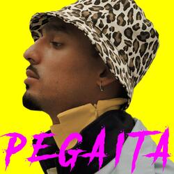 Pega'ita
