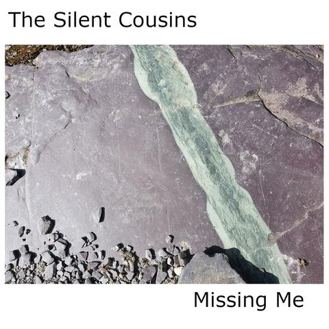 Missing Me