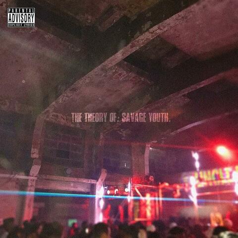 The Theory Of Savage Youth