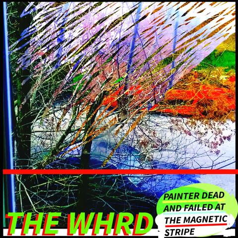 PAINTER DEAD AND FAILED AT THE MAGNETIC STRIPE