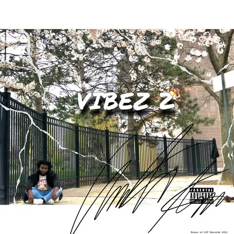 Vibez 2