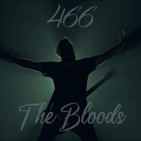466