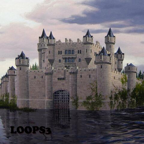 LOOPS3