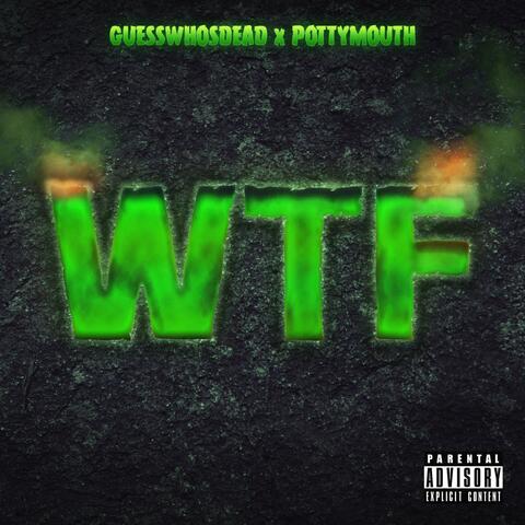 WTF (feat. Pottymouth)