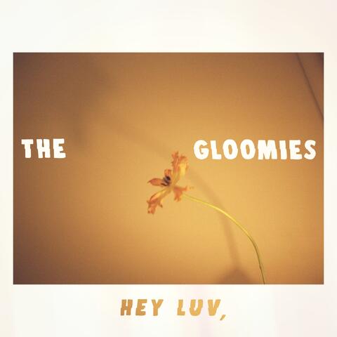 Hey Luv,