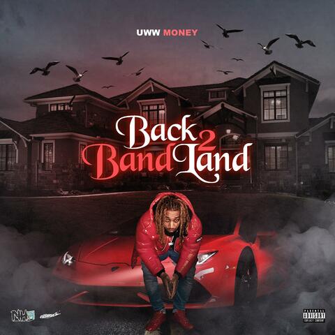 BACK 2 BANDLAND