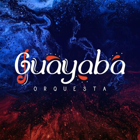 Guayaba Orquesta Éxitos, Vol.2