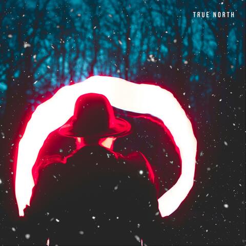 True North