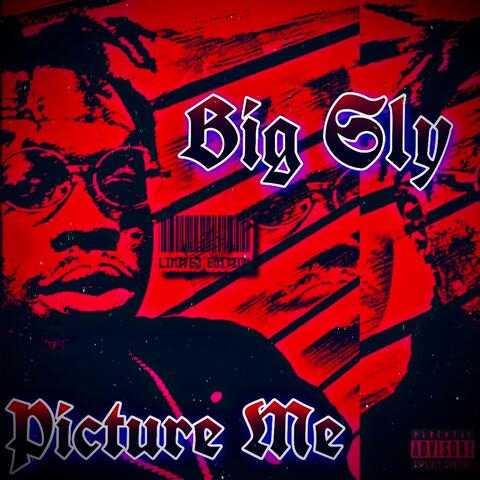 Picture Me