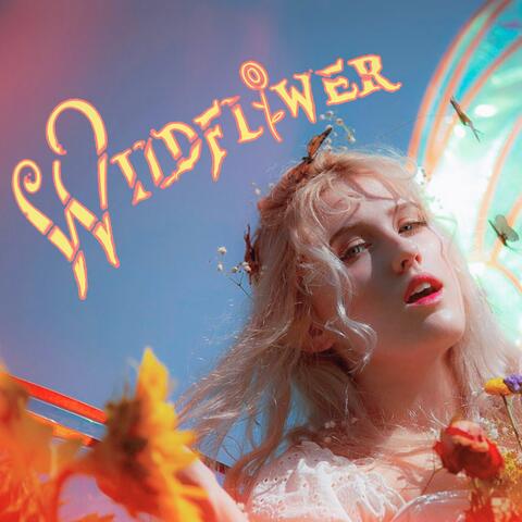 Wildflower