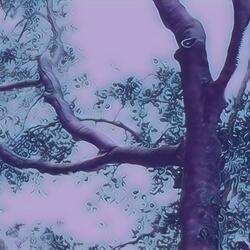 Something in the Way