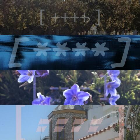 Fall Winter Spring Summer