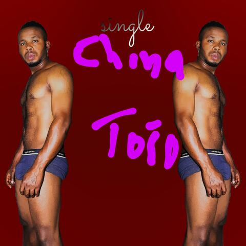 CHINA TOTO