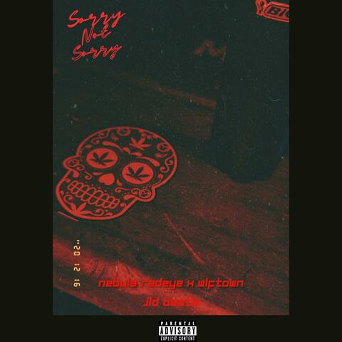Sorry, Not Sorry (feat. Wlftown & JLDBeatz)