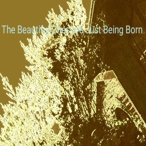 The Beautiful Ones are Just Being Born